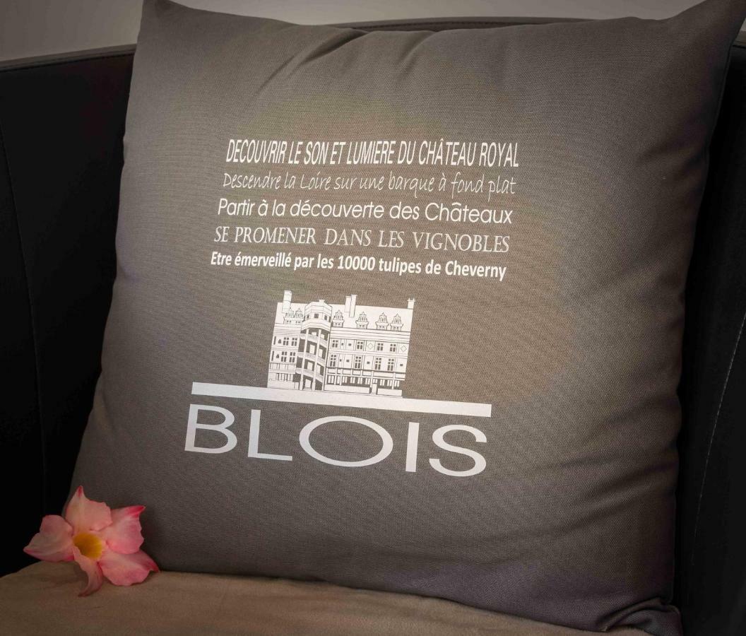 Le Relais Du Petit Lion Apartment Blois